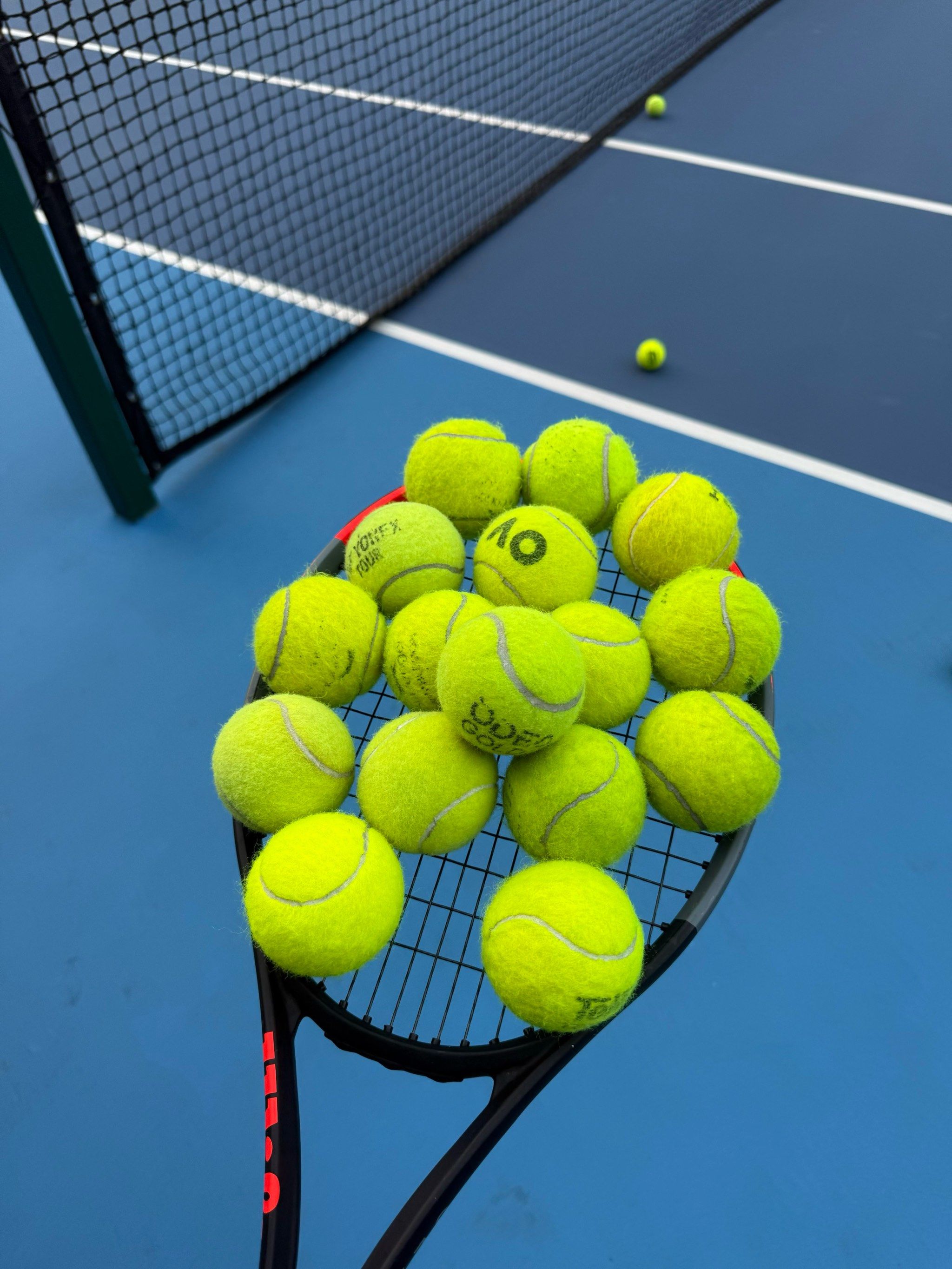 从而调整训 从而调整训